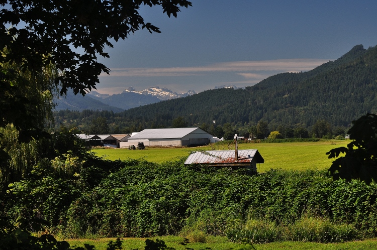 old barn